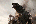 DanZilla's Avatar
